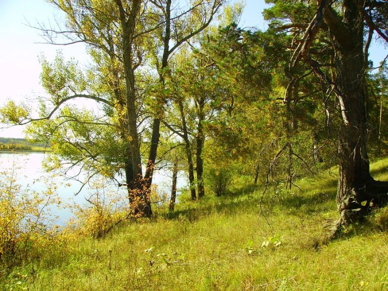 Нургушский заповедник.